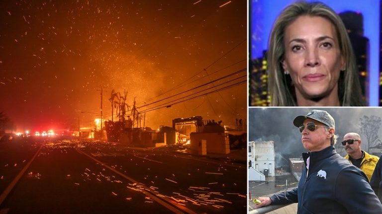 California mom who confronted Newsom over wildfire response speaks out: ‘Clean this up’