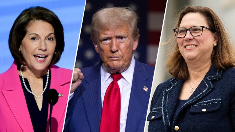 Dems promise to ‘stand up to’ Trump but laud ‘peaceful transfer of power’ after speech